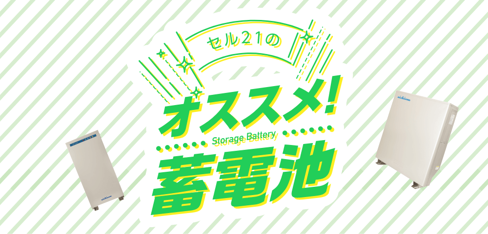 セル21のおすすめ蓄電池